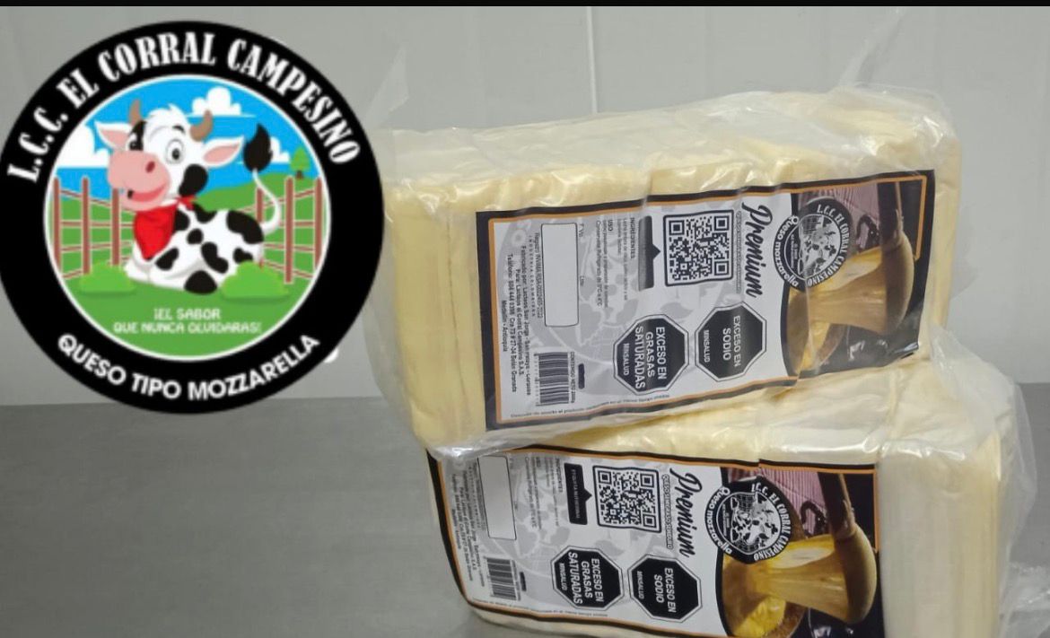Queso Mozzarella Presentación Bloque